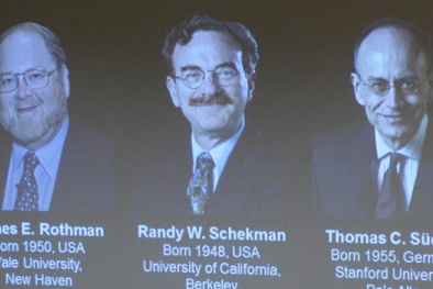 Nobel Y học 2013: Khi các tế bào tham gia…giao thông